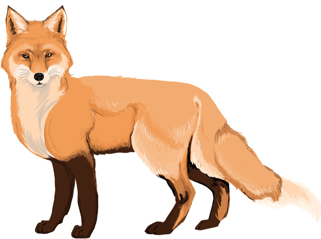 Fabel Der Rabe Und Der Fuchs Textsorte: Fabel und Parabel - Deutsch online lernen