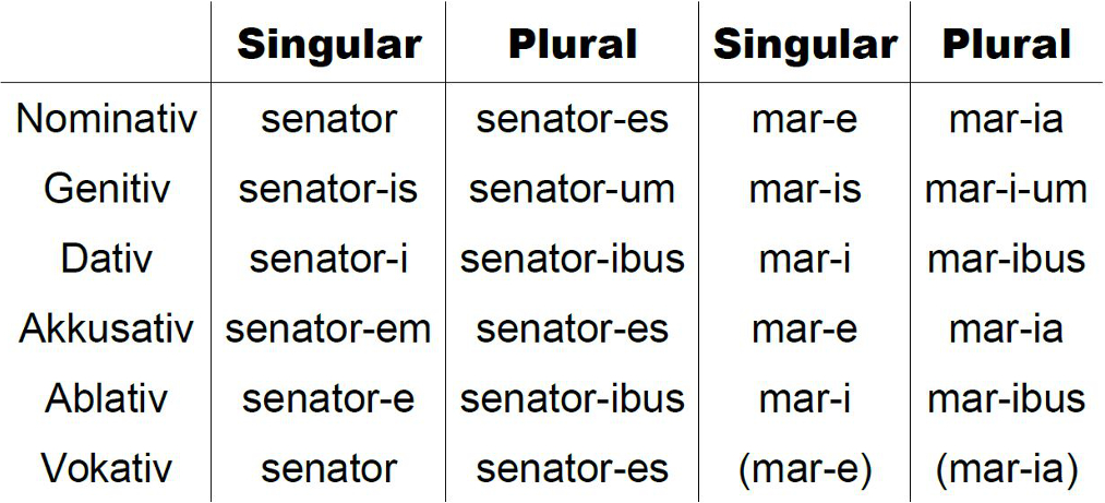 Latein Adjektive Der 3. Deklination Übungen zu allen Deklinationen - Latein online lernen