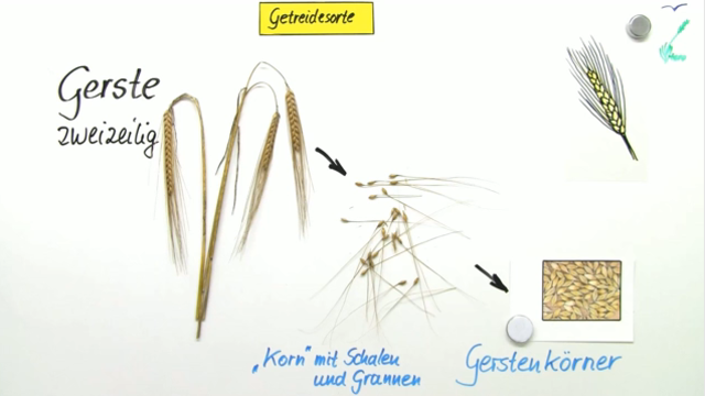 Online-dating-site für den chat
