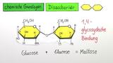 Chemische Grundlagen der Kohlenhydrate