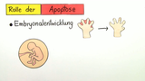 genetisch programmierter Zelltod genetisch programmierter Zelltod
