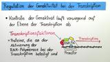 Regulation der Genaktivität bei Eukaryoten