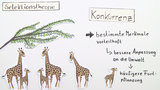  Evolutionstheorie von Darwin