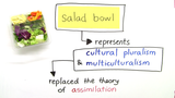 The USA - Melting Pot or Salad Bowl?