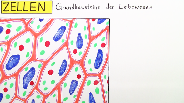 stoffwechsel französisch
