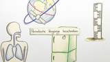 Periodische Vorgänge beschreiben