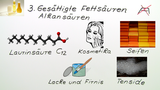 Fettsäuren