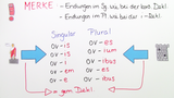 Die gemischte Deklination