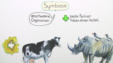 Symbiose - Grundprinzip