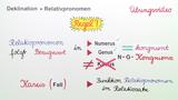 Deklination der Relativpronomen 2 - Übungsvideo