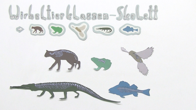 online spanish tutor chat