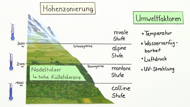 Was Ist Ein Abiotischer Faktor Abiotischer Faktor Temperatur - erstaunlich einfach erklärt