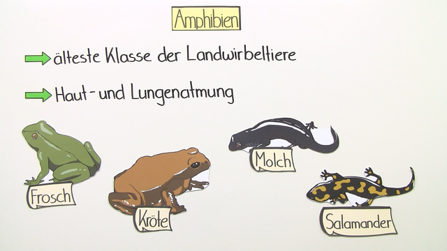 Die Parasiten in den Toiletten