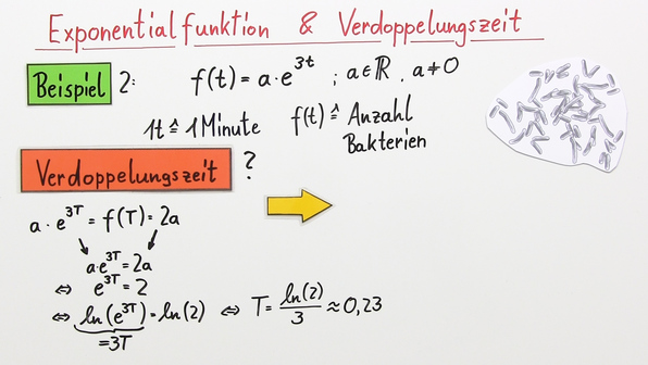 Exponentielles Wachstum Aufgaben Mit Lösungen Pdf www.sofatutor.at