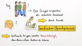 Sexistischer Sprachgebrauch