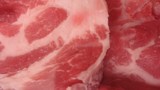 Exponentialfunktionen - Anwendung Salmonellen