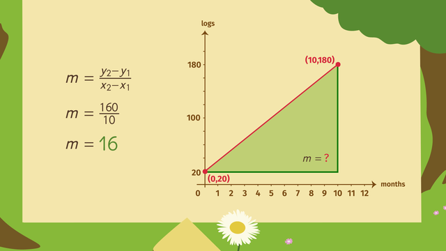 slope fields homework slope fields homework