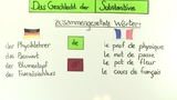 Das Geschlecht der Substantive