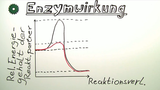 Enzymwirkung