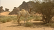 Sahara - Paradoxon des Klimawandels