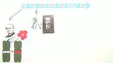 Chromosomentheorie der Vererbung