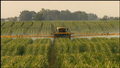 Ethanolproduktion in Amerika