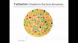 Teil 5: Farbempfinden 1