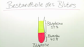 Das Blut