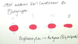 Blutgruppen/ ABO System