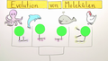 Evolution von Molekülen