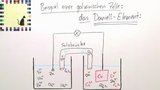 Die galvanische Zelle