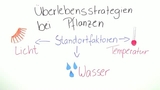 Überlebensstrategien bei Pflanzen