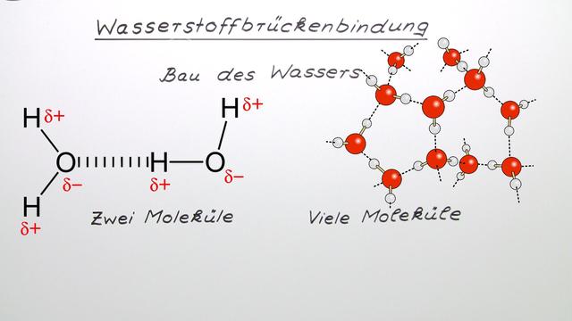 Männer flirten chat