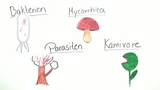 Ernährungsspezialisten Pflanzen