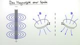 Das Magnetfeld einer langgestreckten, stromdurchflossenen Spule