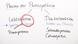 Photosynthese - Bedeutung und lichtabhängige Reaktion Teil 1