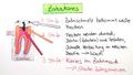 Bakterien als Krankheitserreger - Zahnkaries