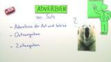 Stellung von Adverbien im Satz