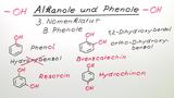 Alkanole und Phenole