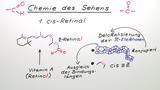 Chemie des Sehens