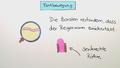 Die Lebensweise des Regenwurms - Fortbewegung und Atmung
