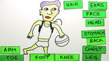 Body Parts