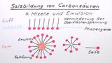 Salzbildung von Carbonsäuren