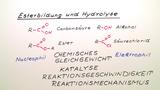 Esterbildung und Hydrolyse