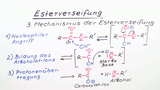 Esterverseifung