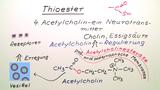 Thioester