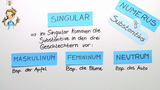 Der Numerus des Substantivs