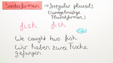 Das Substantiv/ Noun. Unregelmäßige Nomen im Plural