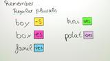 Das Substantiv im Plural, Übungsvideo
