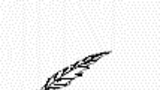 Syntax IV (Satzarten) Syntax IV (Satzarten)